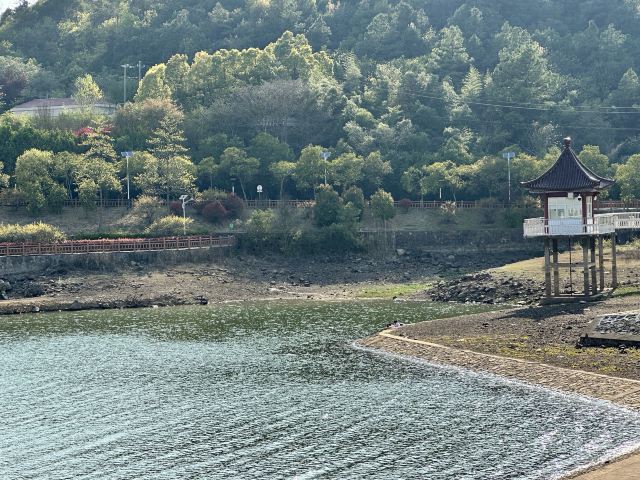 蟠龙湖森林公园旅行图片 4