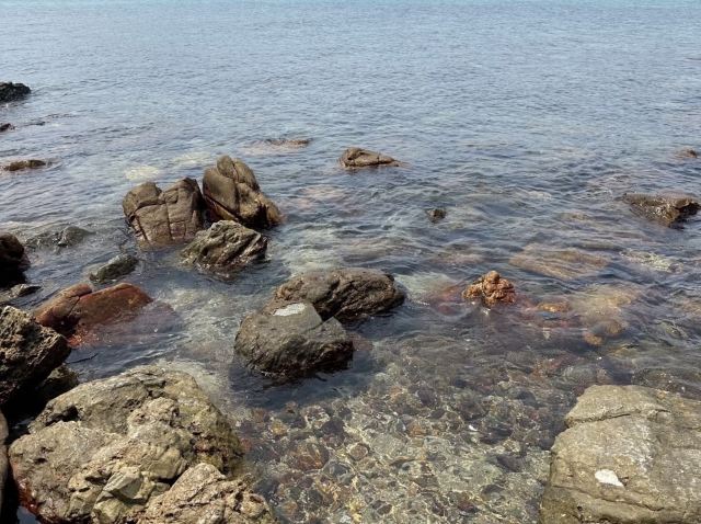 碧海湾景区旅行图片 2