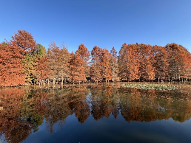 南京小九寨沟旅行图片 2