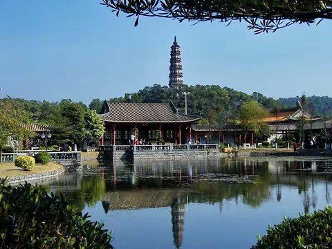 顺峰山公园旅行图片 7