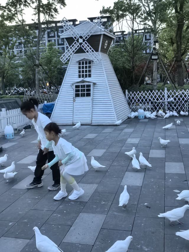 蟠龙天地-烟雨廊桥旅行图片 5
