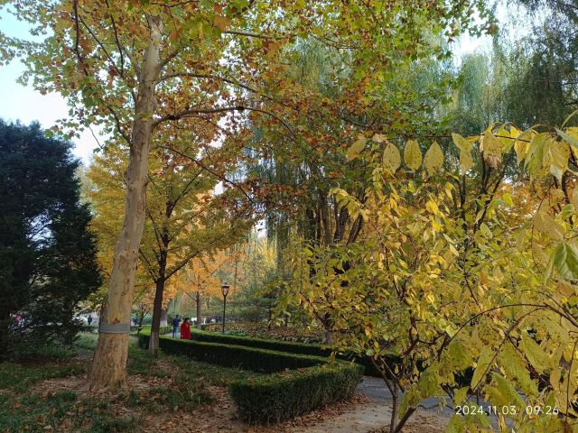 香山公园旅行图片 1