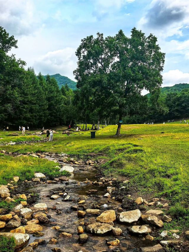 飞泷金山鹿苑旅行图片 3