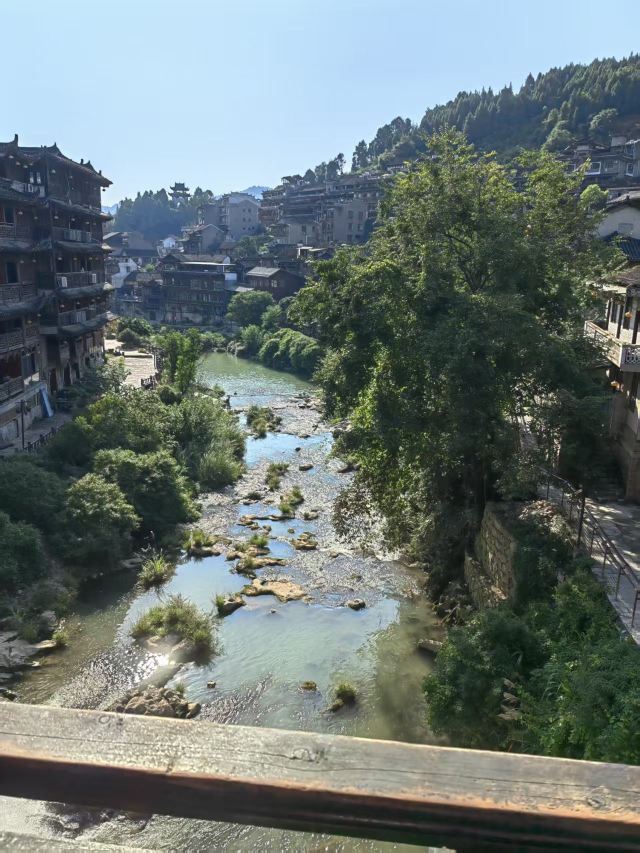凤凰磁浮观光快线旅行图片 2