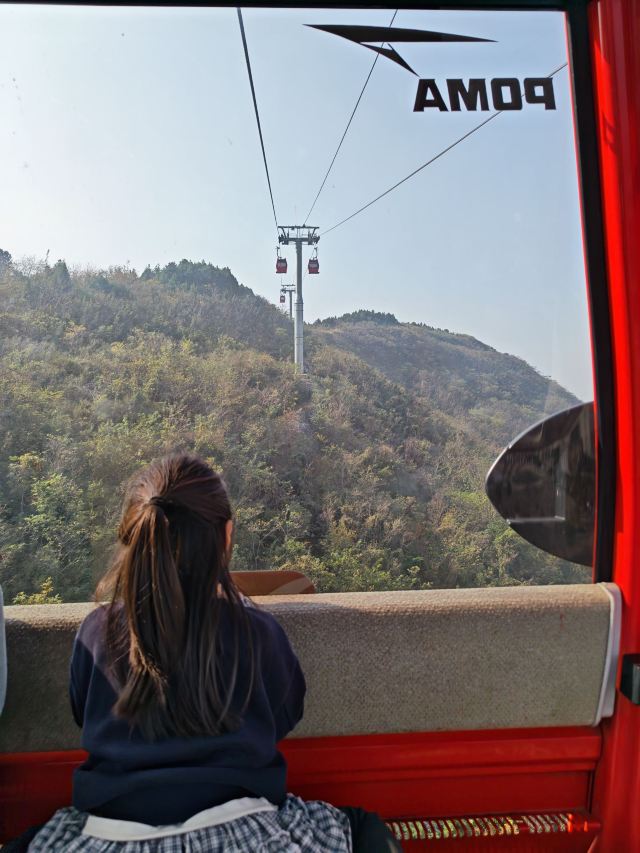 江苏园博园旅行图片 1