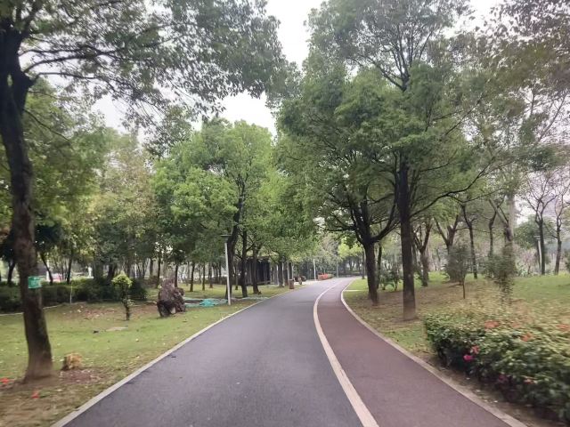 碧湖生态公园旅行图片 9
