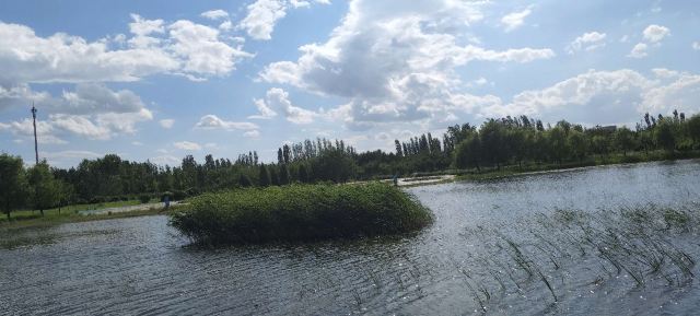 呼和浩特市植物园旅行图片 12