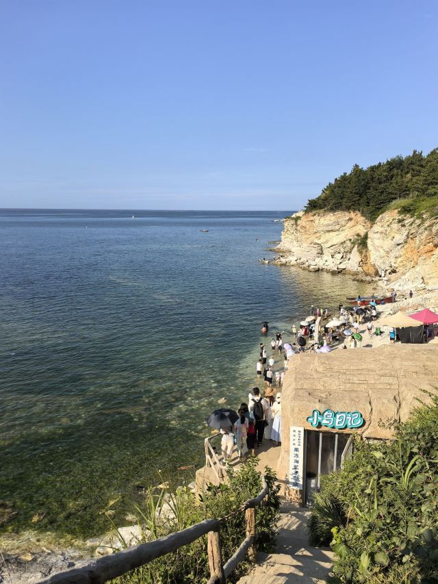 养马岛林间花海旅行图片 4