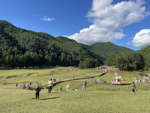 飞泷金山鹿苑旅行图片 5