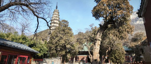 灵岩寺景区旅行图片 3