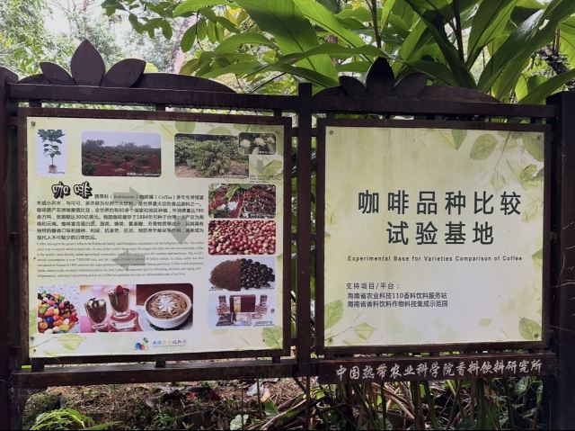 兴隆热带植物园旅行图片 2