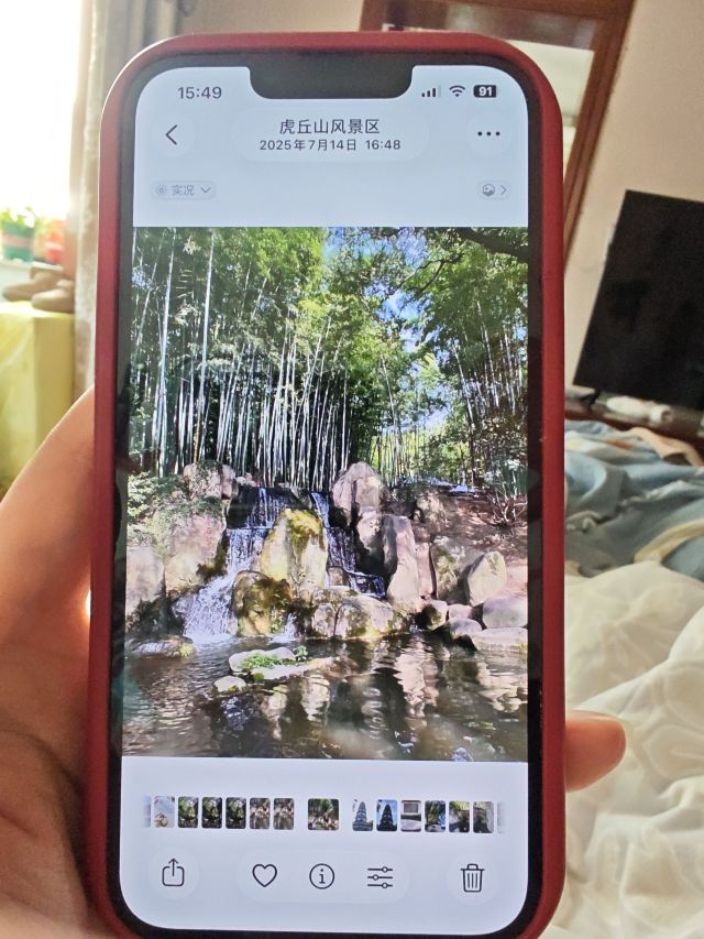 虎丘山风景区旅行图片 2
