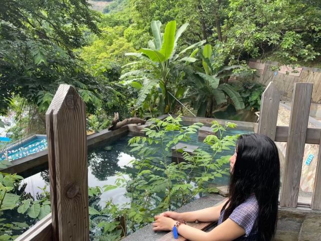元江红河谷热海旅行图片 3