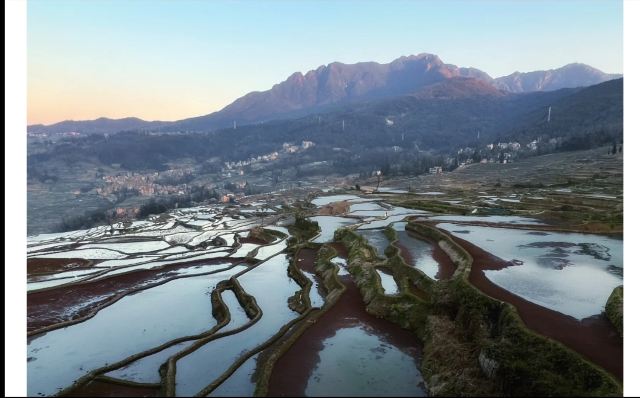 新山梯田旅行图片 1