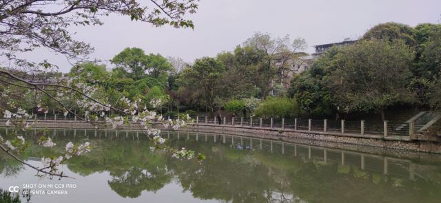 南溪山公园旅行图片 6