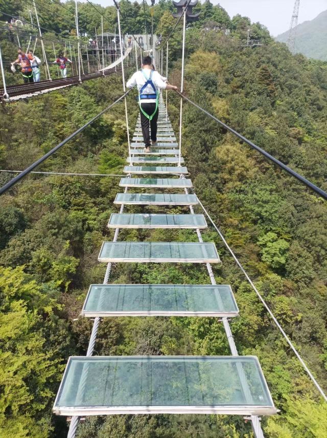 云顶草上世界旅行图片 4