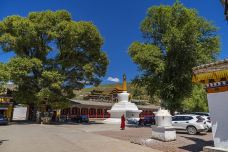 吾屯下寺-同仁-听爵士的流氓兔