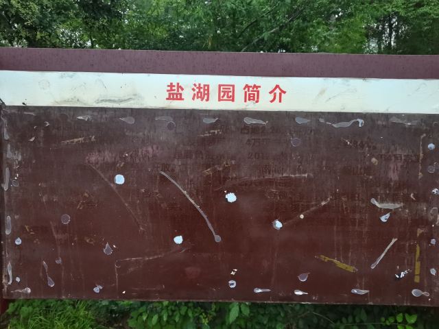 盐湖园旅行图片 3