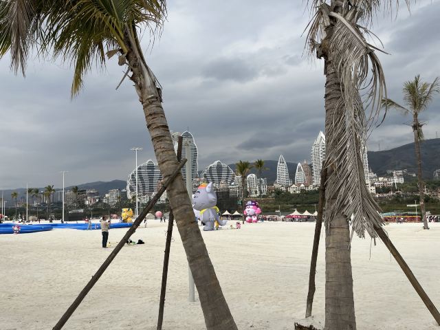 白象沙滩旅行图片 1