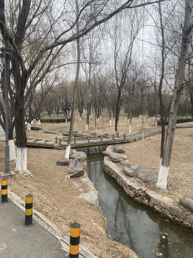西安浐灞国家湿地公园旅行图片 1