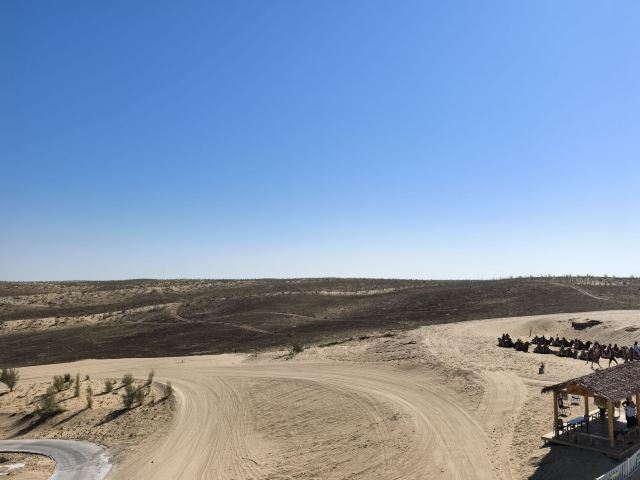 古尔班通古特沙漠旅行图片 4
