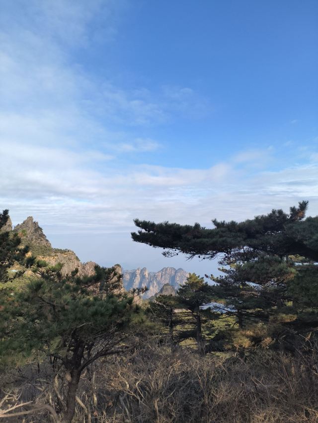 南昌珍奇植物园旅行图片 3
