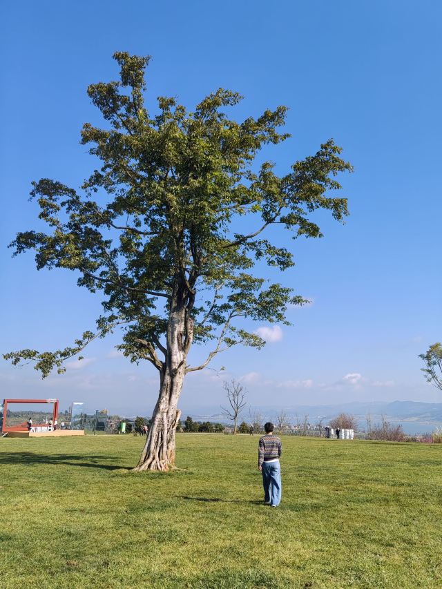 太平湖森林公园旅行图片 6