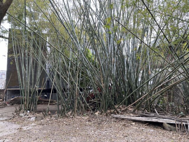 簕山古渔村旅行图片 1