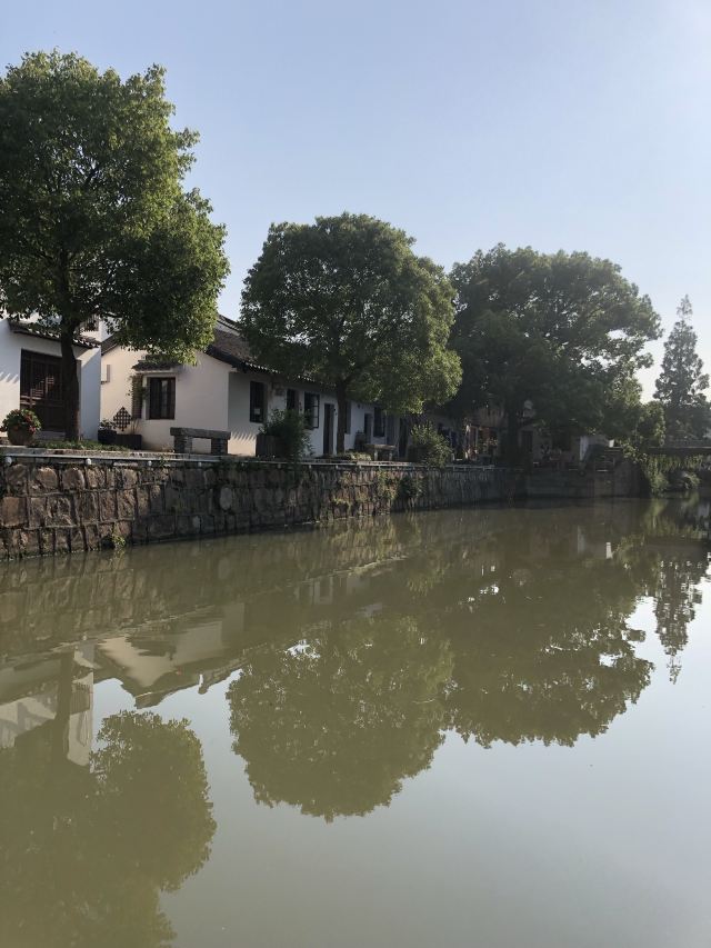 青溪老街旅行图片 12