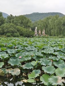 国家植物园(原北京植物园)-北京-把剑长歌