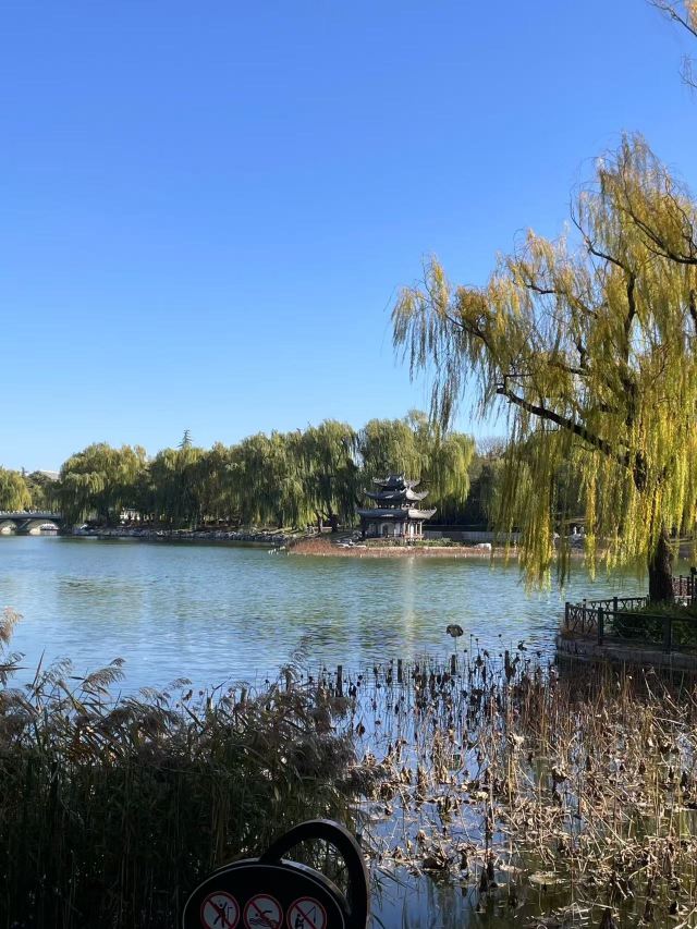 陶然亭旅行图片 1