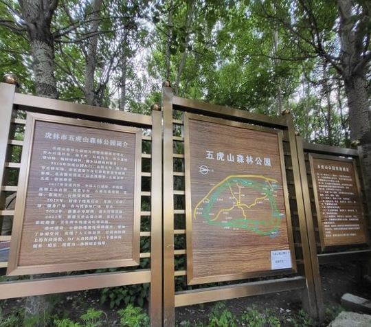 五虎山森林公园旅行图片 2
