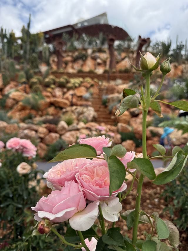 理想的花园旅行图片 4