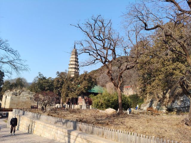 灵岩寺景区旅行图片 8
