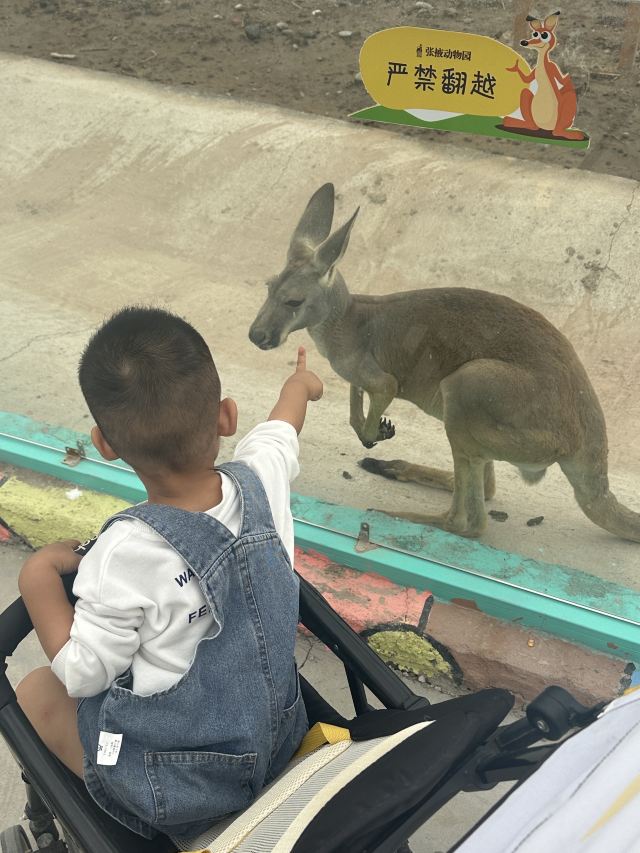 张掖动物园旅行图片 3