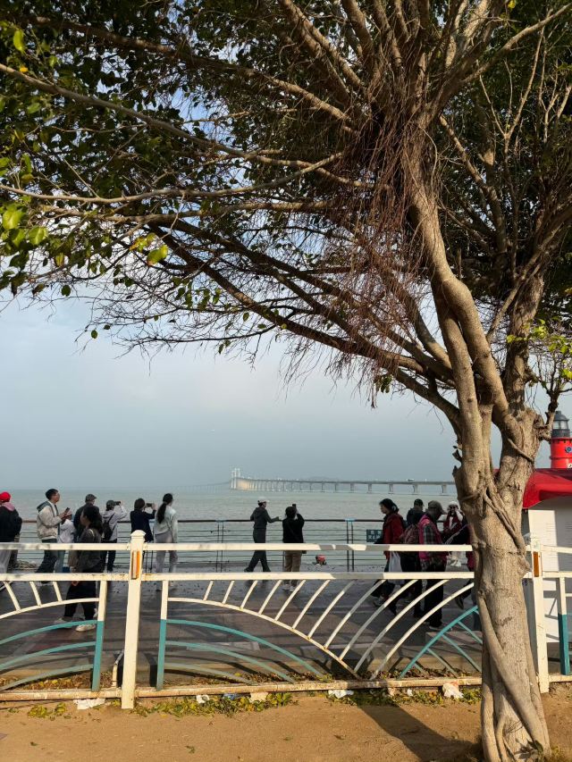 南澳岛生态旅游区旅行图片 4