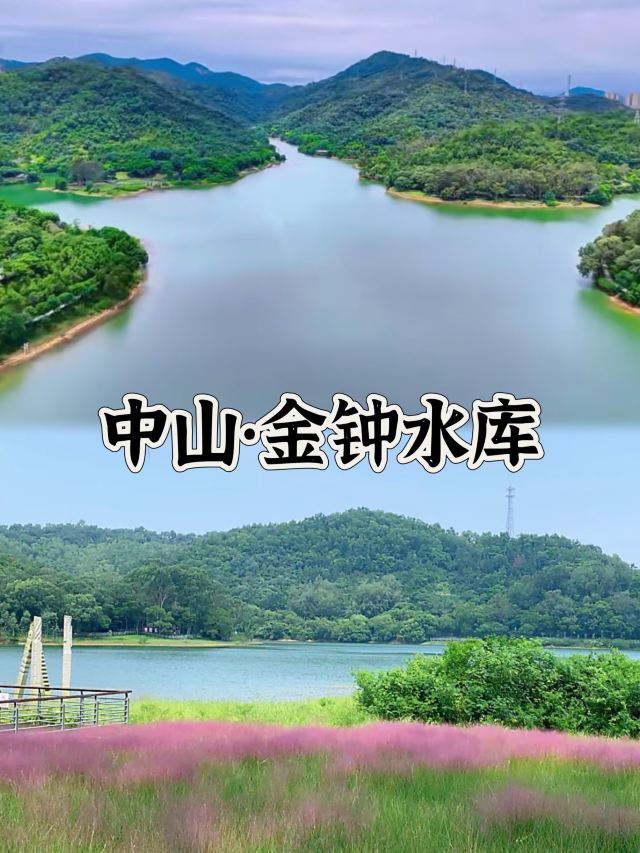 金钟水库旅行图片 1