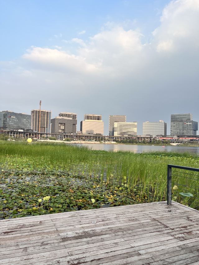 龙湖金融岛-东北广场旅行图片 11