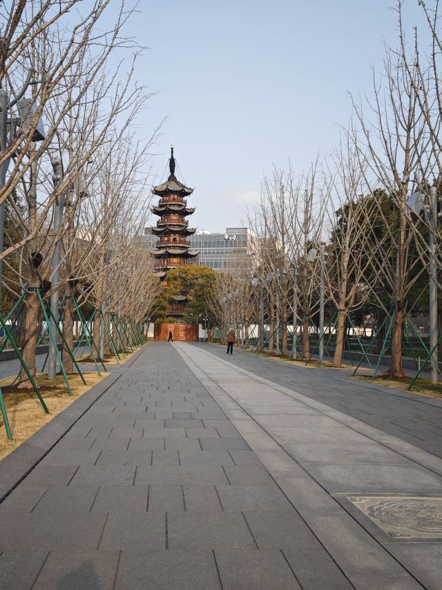 龙华塔旅行图片 5