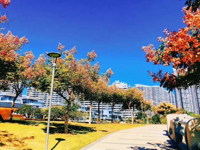 彩虹沙滩旅行图片 5