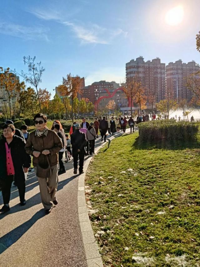 苹果公园旅行图片 1