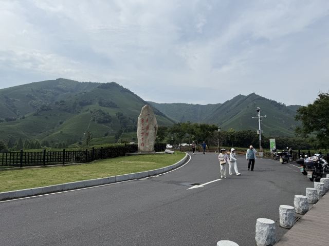 白茶原·安吉白茶观景平台旅行图片 3