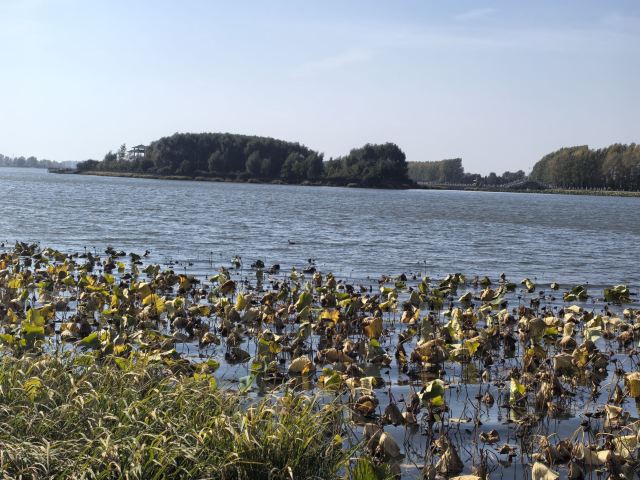 二龙潭国家湿地公园旅行图片 1