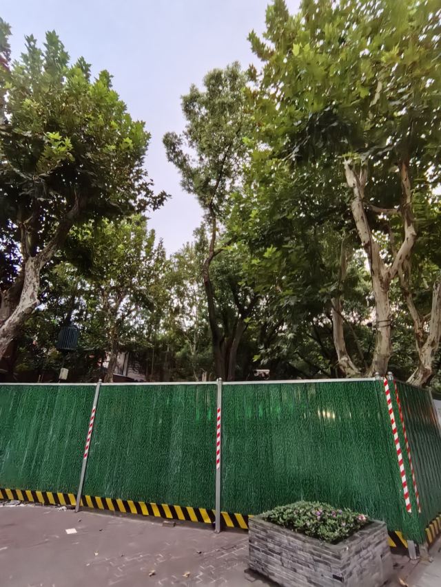 杨浦公园旅行图片 2