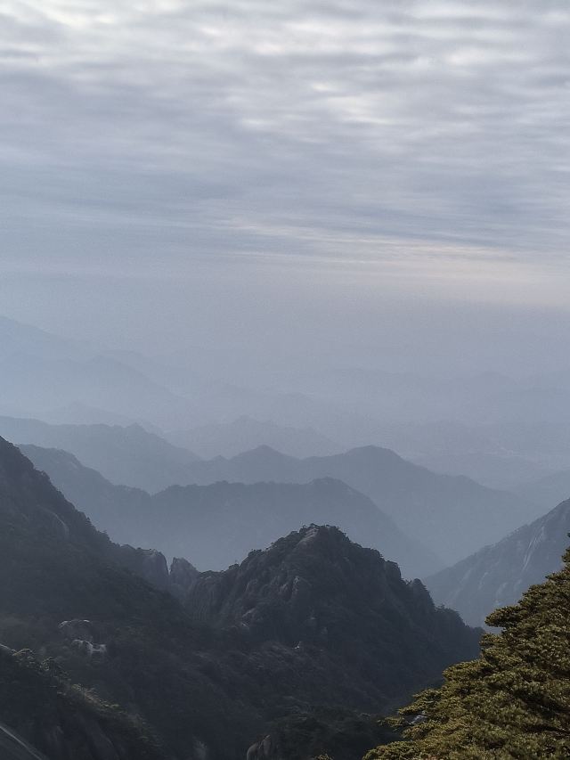 南昌珍奇植物园旅行图片 2