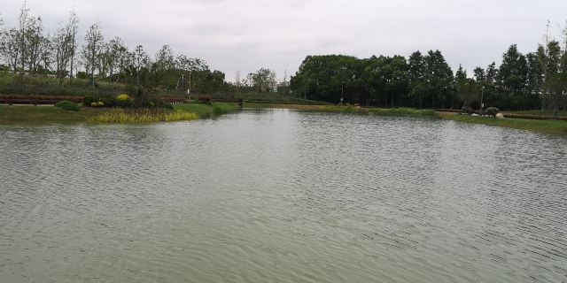 上海浦江之首旅行图片 3
