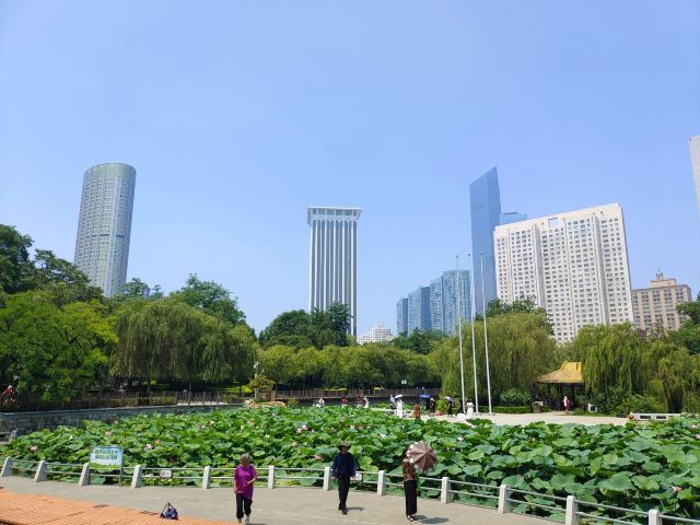 劳动公园旅行图片 11