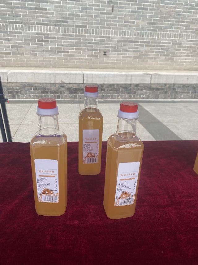 韩城古城旅行图片 2
