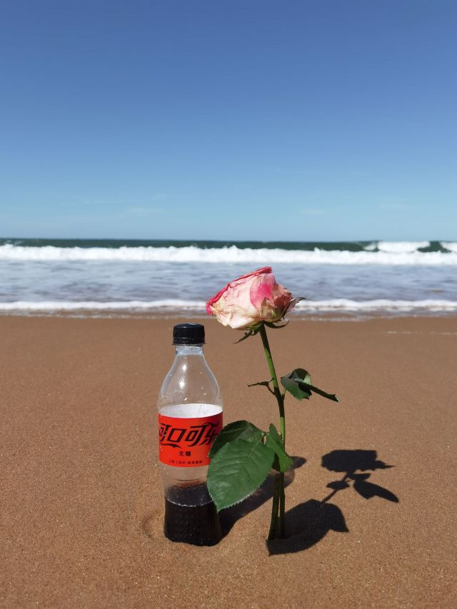 威海国际海水浴场旅行图片 9