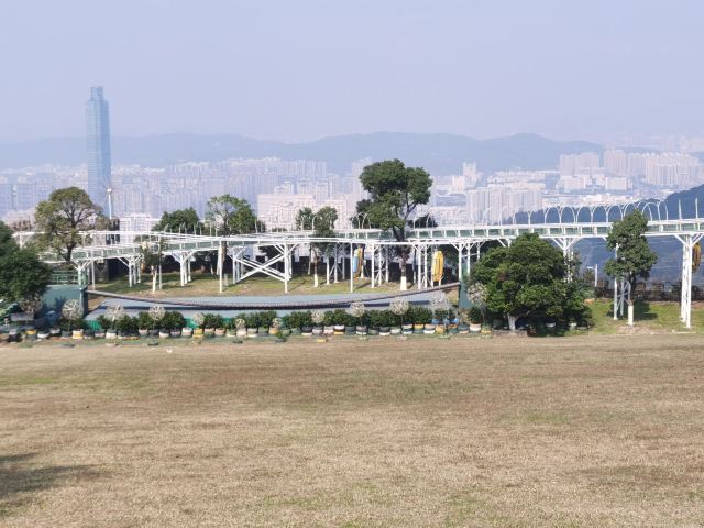 云顶草上世界旅行图片 1